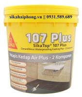 VỮA CHỐNG THẤM SIKATOP SEAL 107 PLUS